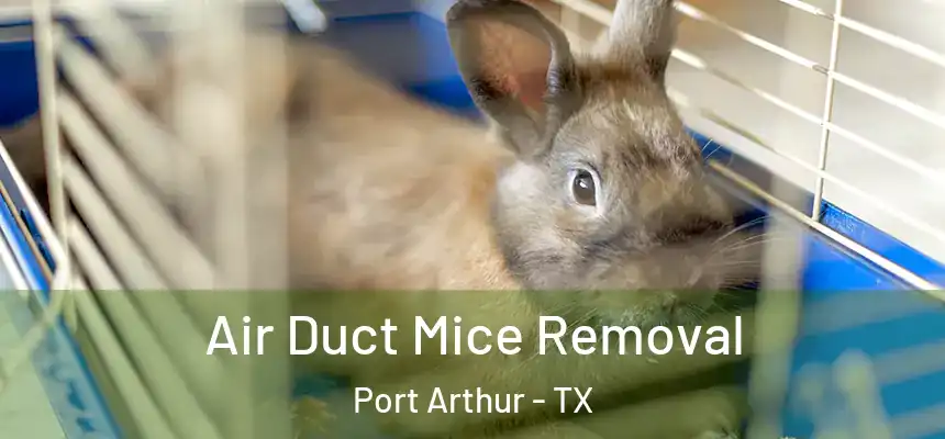  Air Duct Mice Removal Port Arthur - TX