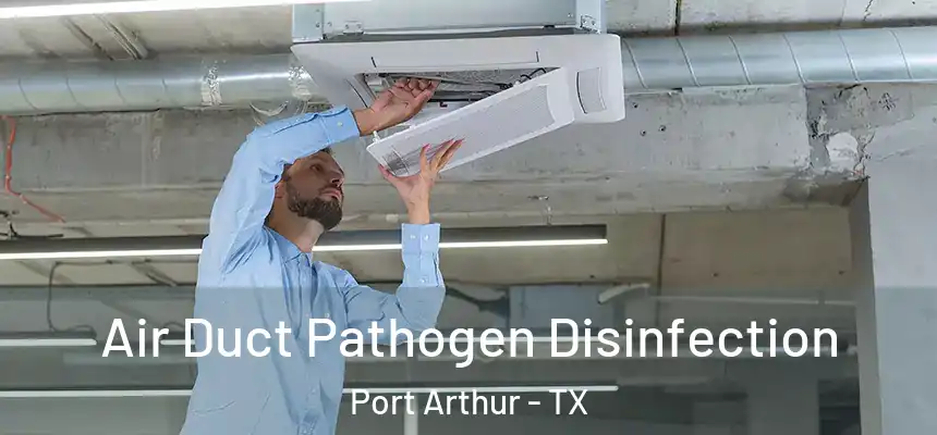 Air Duct Pathogen Disinfection Port Arthur - TX