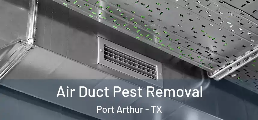Air Duct Pest Removal Port Arthur - TX