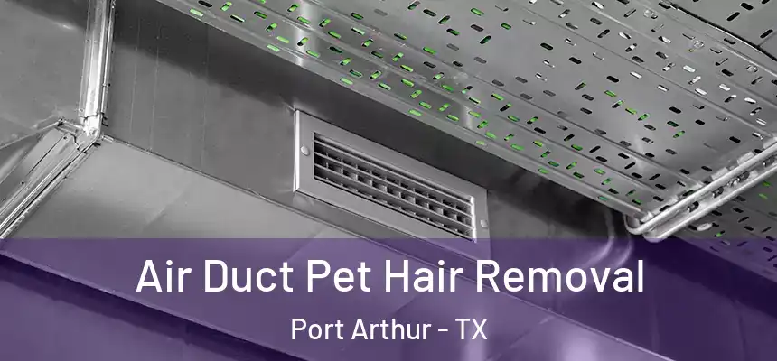  Air Duct Pet Hair Removal Port Arthur - TX