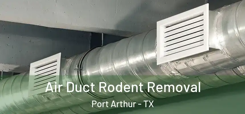 Air Duct Rodent Removal Port Arthur - TX