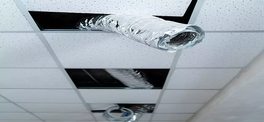 Affordable HVAC Sanitizing After Pest Removal in Port Arthur