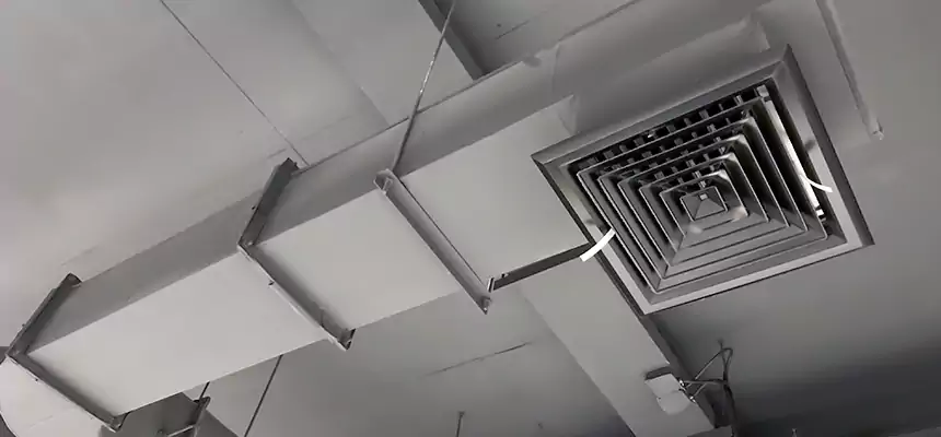 Our Pest Removal From Ducts Services in Port Arthur, TX