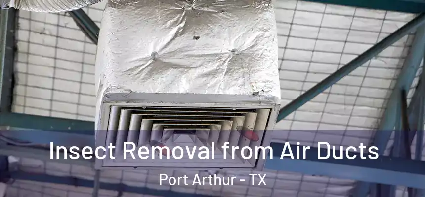 Insect Removal from Air Ducts Port Arthur - TX