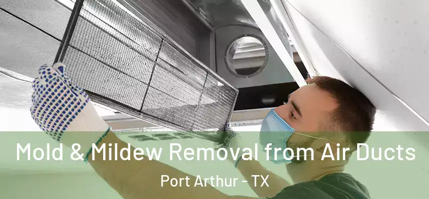 Mold & Mildew Removal from Air Ducts Port Arthur - TX