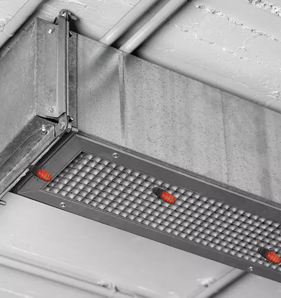 About Air Duct Cockroach Removal in Port Arthur, TX