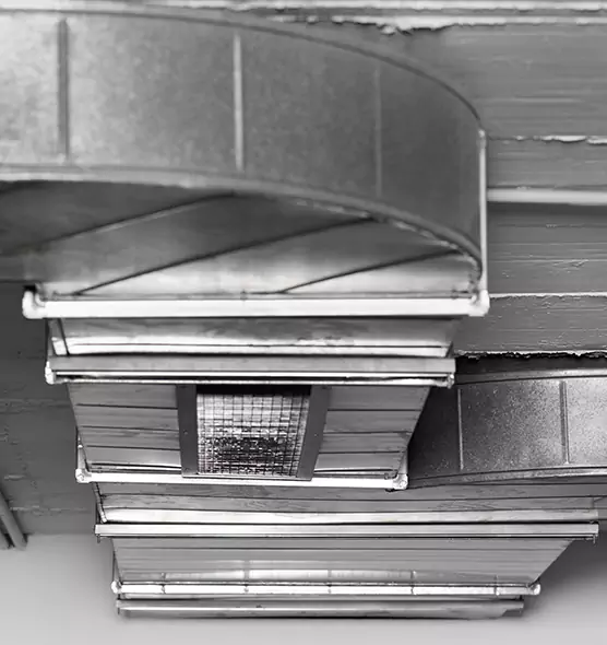 Professional Air Duct Pest Removal in Port Arthur, TX