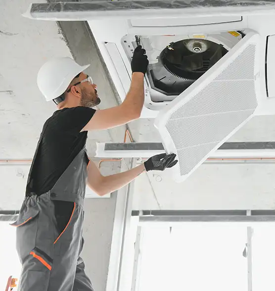 About Air Duct Rodent Removal in Port Arthur, TX