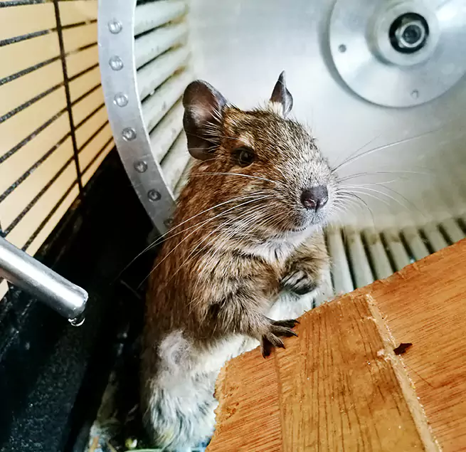 Why Homeowners & Businesses Trust Us Port Arthur, TX