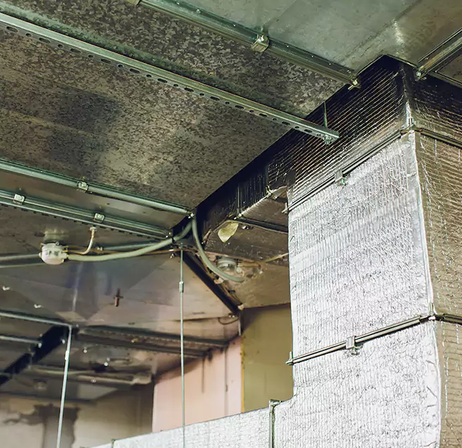 Why Homeowners & Businesses Trust Us in Port Arthur, TX?